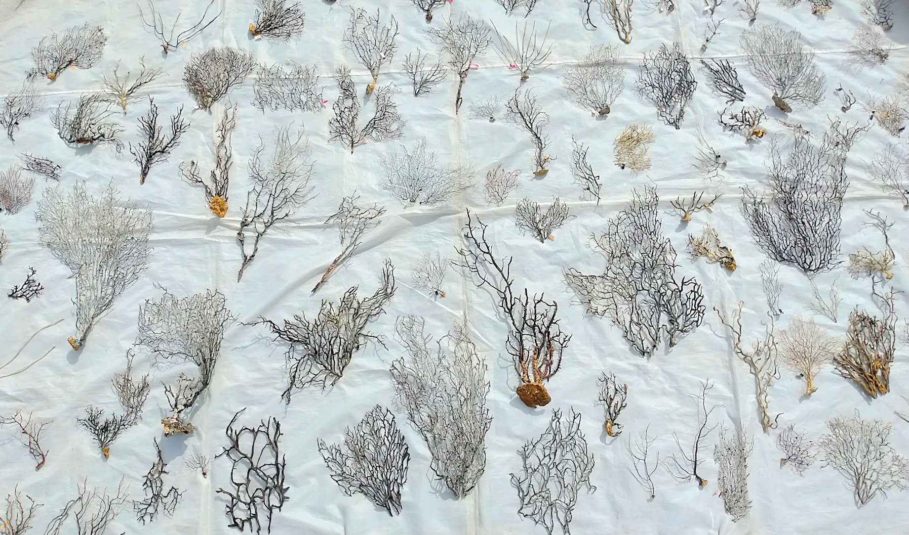 全て日本語の国産CMSだから、設置も更新も簡単、わかりやすい。